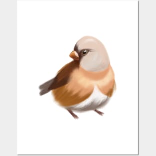 Cute Finch Drawing Posters and Art